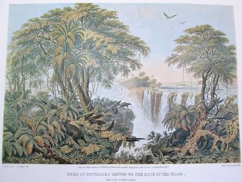 The Victoria Falls - Zambezi River - Full Set Thomas Bainbridge Lithographs, Books Of Zimbabwe, 1994