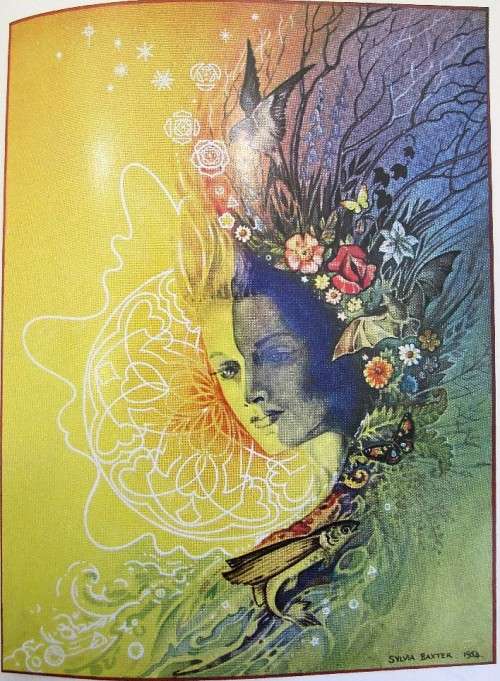 Sun of Tabriz: A Lyrical Introduction to Higher Metaphysics JALALUDDIN, RUMI (Signed! Colin Garbett)