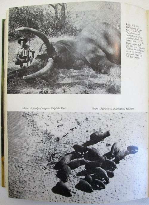 Valley Of The Ironwoods - Allan Wright - TV Bulpin, 1972
