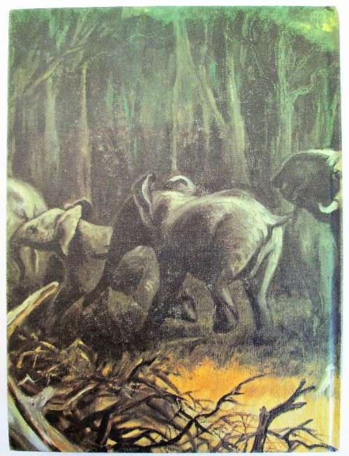 Valley Of The Ironwoods - Allan Wright - TV Bulpin, 1972