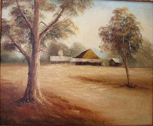 Framed Oil Painting - Total Size 56cm/47cm