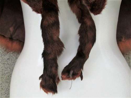 Stunning Genuine Fox Fur Shoulder Cape - Immaculate Condition!!!!