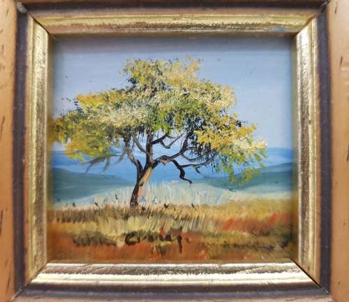 Original Framed Miniature Oil Painting - Total Size 10cm/9,5cm