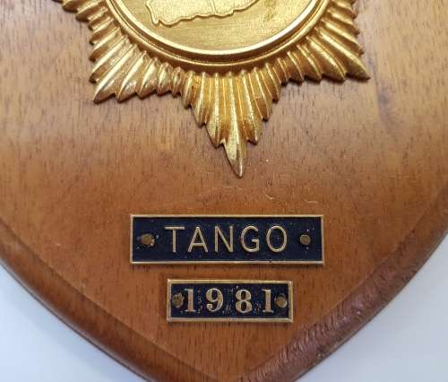 Vintage South African Police Plaque - 17cm/19cm