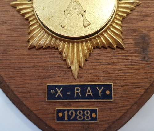 Vintage South African Police Plaque - 17cm/19cm