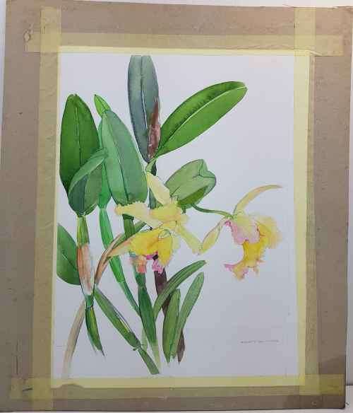 Lovely Original Sandy Slater Watercolour Pasted On Board - 30cm/39cm