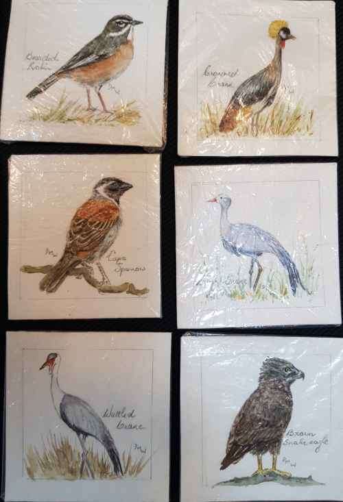 20X Original Watercolour Bird Paintings Signed DMW - Each 7,3cm/7,3cm