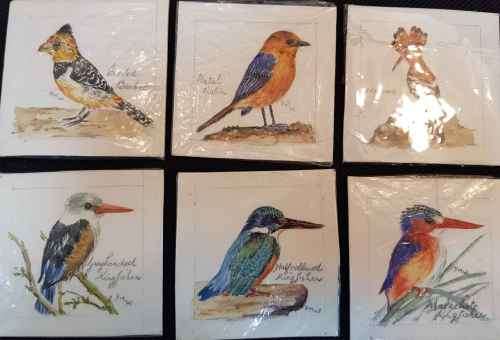 20X Original Watercolour Bird Paintings Signed DMW - Each 7,3cm/7,3cm
