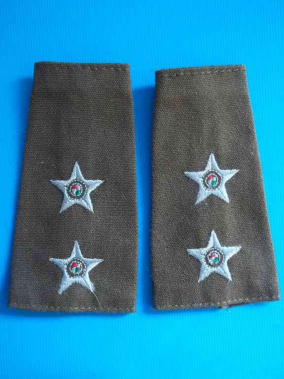 South African Army Insignia