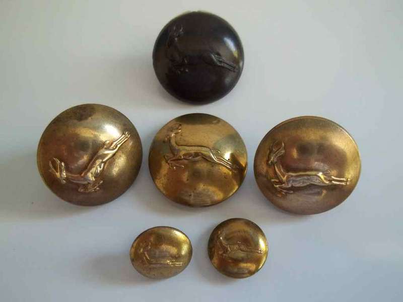 5 Military Buttons