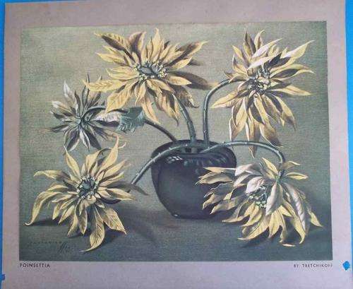 Unframed Tretchikoff Print - Poinsettia - 22,5cm/29cm (Colours Still Vibrant, Good Condition)