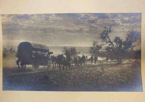 Fantastic Glazed Antique Photo Print Of A Mule Drawn Military/Transport Wagon c1890-1910 - 25cm/14cm