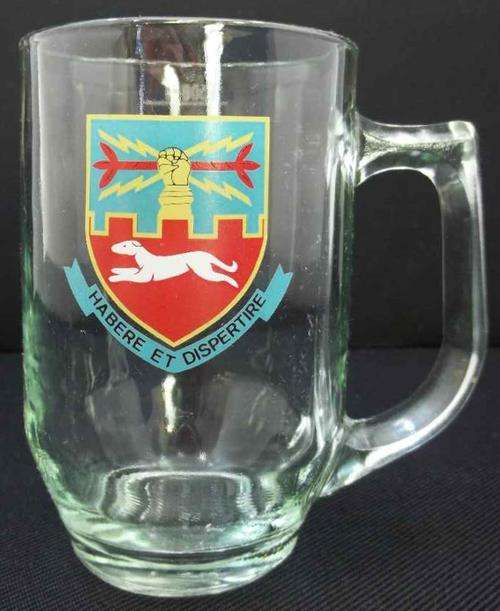 Habere Et Dispertire/Castle Lager Beer Mug