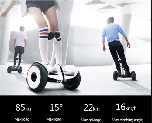 XiaoMi Nine Bot mini 10 inch Self balancing 2 wheel Personal Travel System (Black and White)