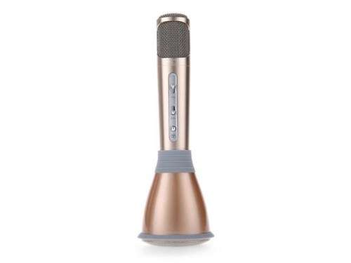 K068 KTV Karaoke Microphone c & Speaker Gold