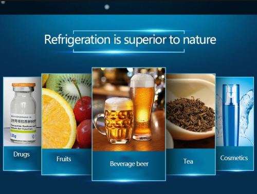 Car Refrigerators Multi-Function Home Cooler Freezer Warmer Portable 12V 4L Car Mini