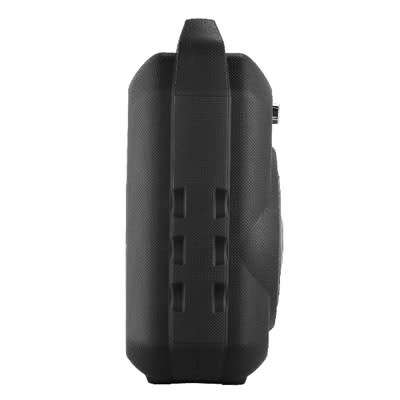 Multimedia Bluetooth Speaker-BS11 With LED Radio