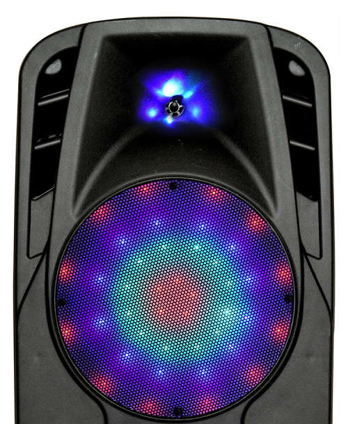 Dual 10 inch rechargeable portable wireless blue tooth light speaker