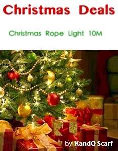Christmas Rope Light 10M ONLY R80