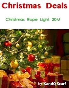 Chritmas Rope Light 20M ONLY R135