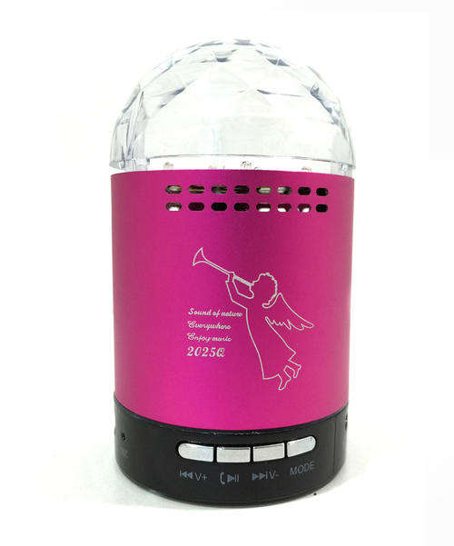 Lets Party! Portable MINI Flashing lights music Speaker