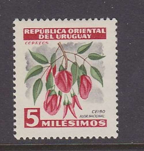 As per scan