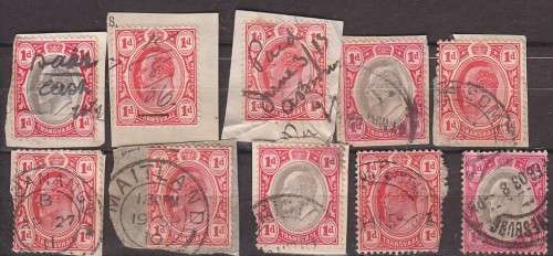 Transvaal - fine used