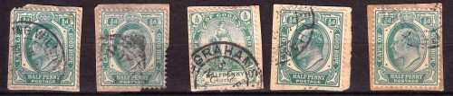 COGH - KEVII - 1901/1910 - On paper - 5 stamps - Good value!