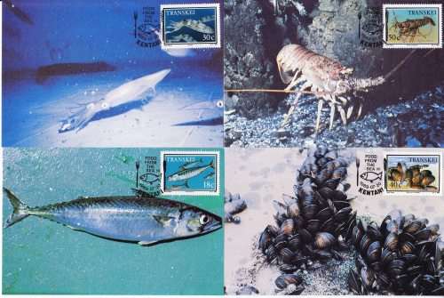 Transkei - 1989 - Postcards