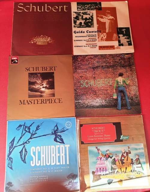 LP,Rossini X7,Liszt X6,Strauss X7.Verdi X5,Schubert X6,ungraded, sold as a lot,31 records