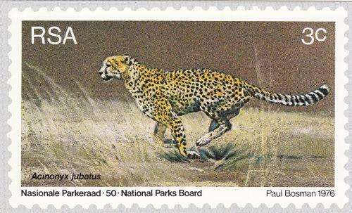 RSA cover - As per photo