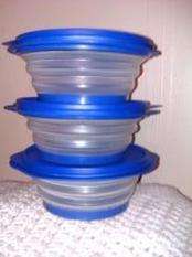 3 piece Telescopic bowl Set- Perfectly sized for leftovers!