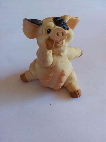 Cute little pig