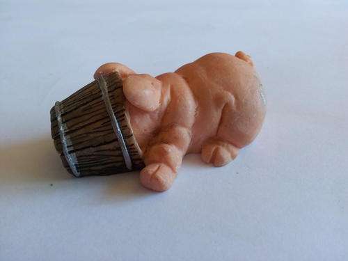 Cute little pig with head in a bucket