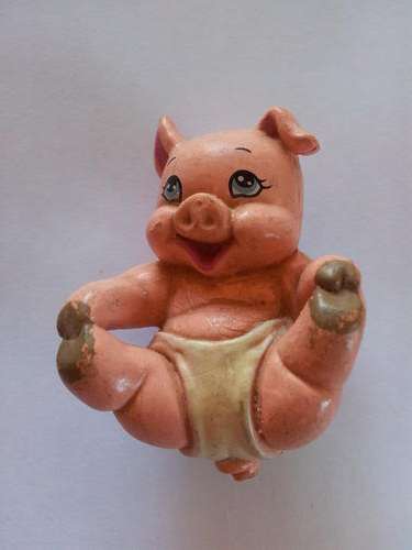 Cute little baby pig