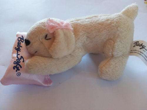 Baby soft puppy