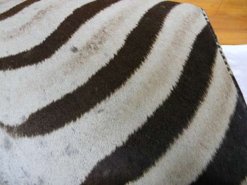 Antique Footstool With Zebra Hide Upholstery
