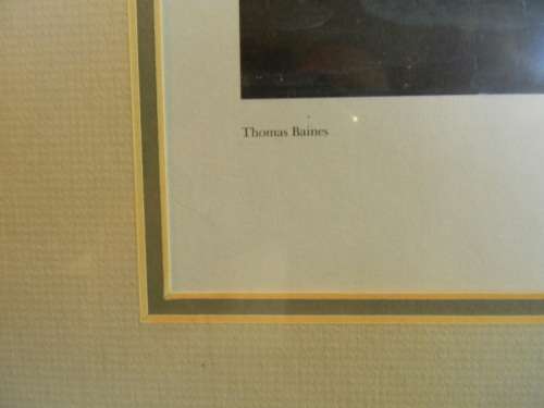 Thomas Baines Limited Edition Print