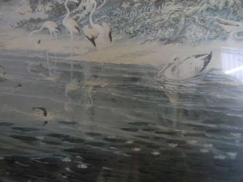 Thomas Baines Limited Edition Print