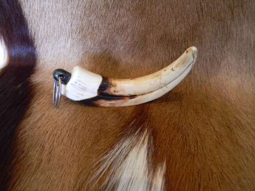 Warhog Horn Ivory Keyring No 1