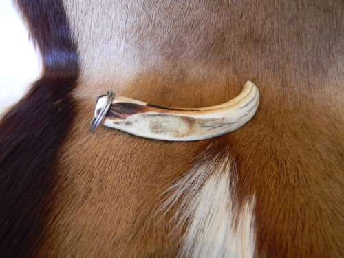 Warhog Horn Ivory Keyring No 1