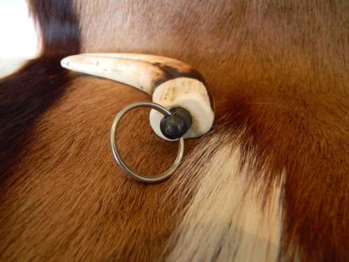 Warhog Horn Ivory Keyring No 1