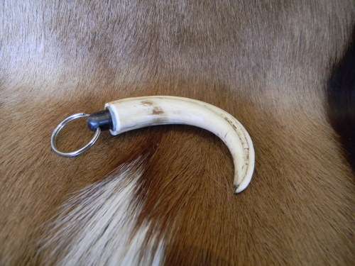 Genuine Ivory Warthog Horn Keyring No 2