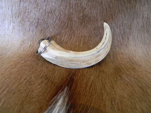 Genuine Ivory Warthog Horn Keyring No 2