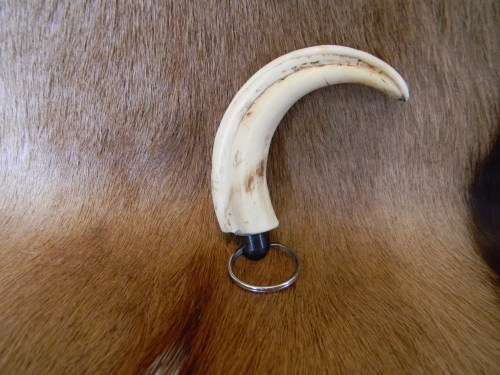 Genuine Ivory Warthog Horn Keyring No 2