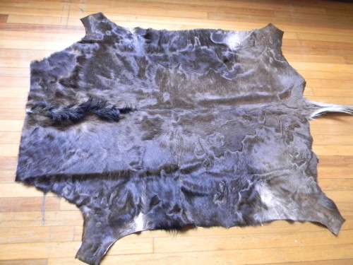 Beautiful Black Wildebeest Hide