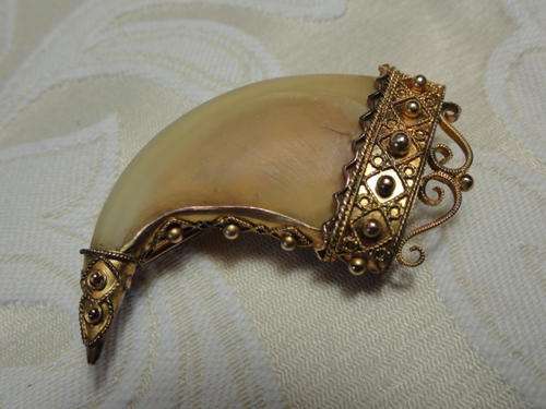 VICTORIAN GOLD  LION'S CLAW BROOCH( FOR JANNIE)