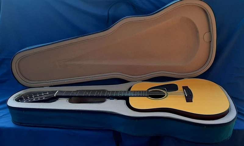 VINTAGE SAMICK ARTIST SERIES EDITION 12 STRING WITH CARRY CASE!!!