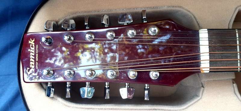VINTAGE SAMICK ARTIST SERIES EDITION 12 STRING WITH CARRY CASE!!!