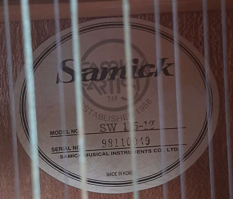 VINTAGE SAMICK ARTIST SERIES EDITION 12 STRING WITH CARRY CASE!!!